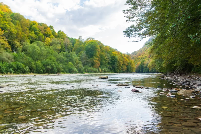 Река в осень в Адыгее