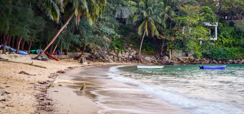 Сцена спокойного пляжа с пальмами и лодками