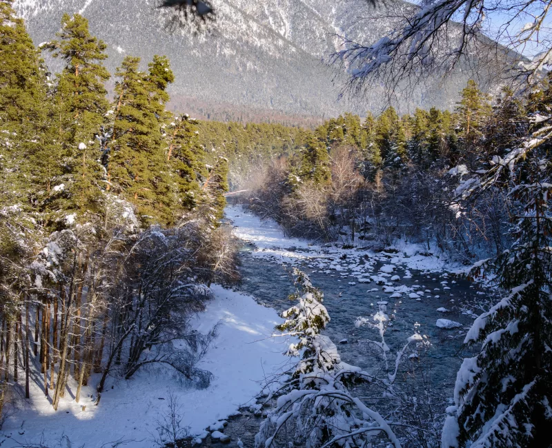 Зимняя река в заснеженном лесу