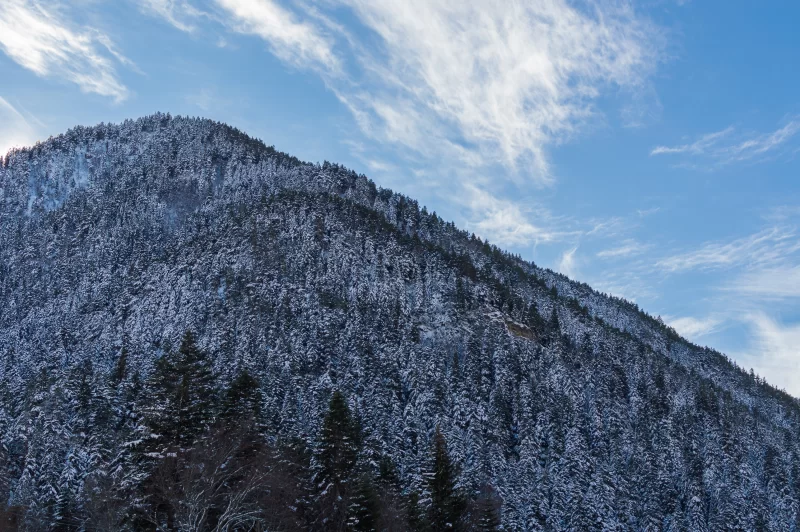 Снежные зимние горы с хвойным лесом