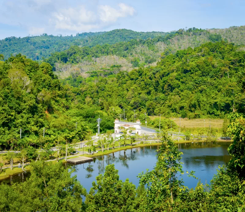 Густой лес и озеро с дорогой и белым зданием