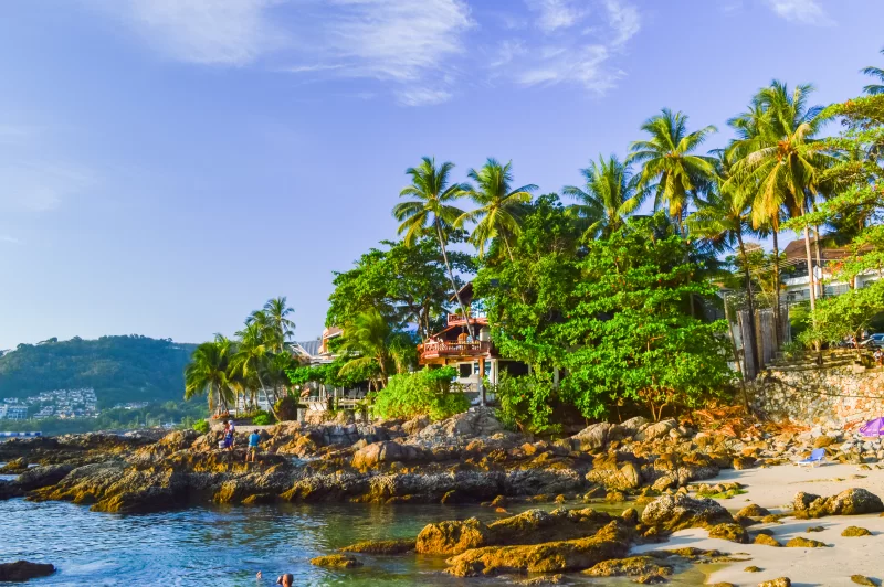 Коттедж у моря среди пальм