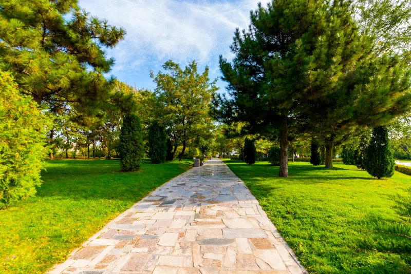 Park Alleyway. Summer Day