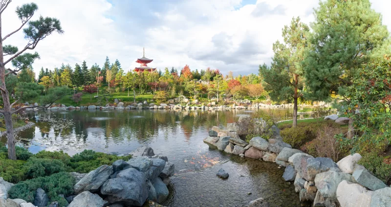Японский сад с пагодой в Краснодаре