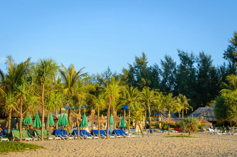 Тропический курорт с пальмами и зелёными зонтами