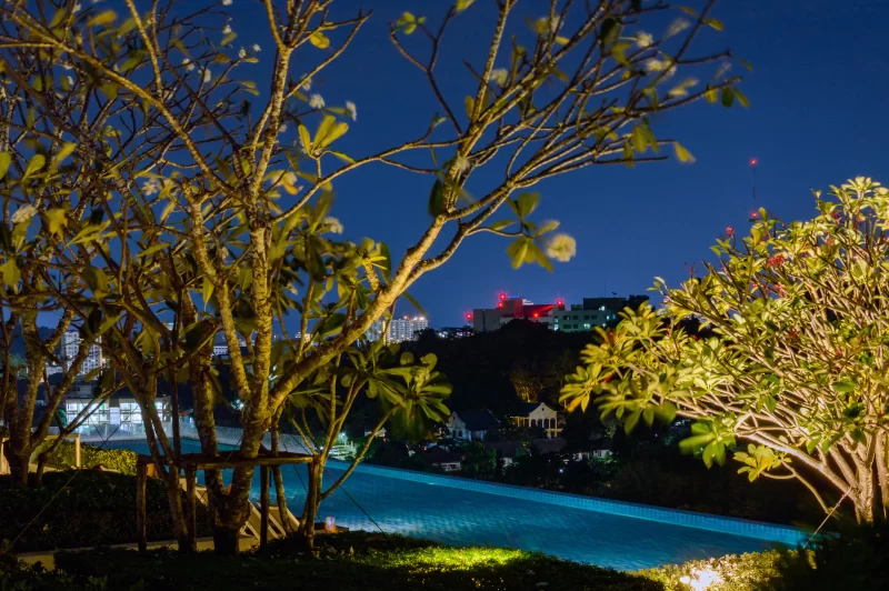 Ночной вид на бассейн-инфинити среди тропической зелени с городским пейзажем на горизонте