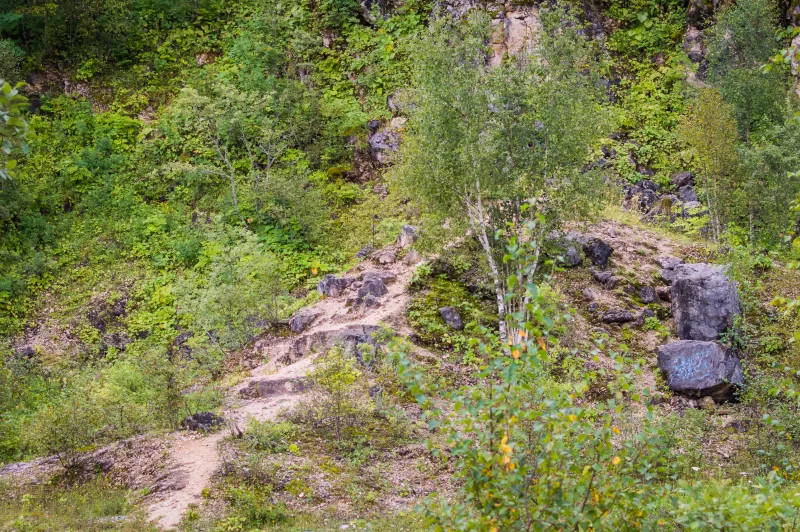 Тропа в скалистом лесу