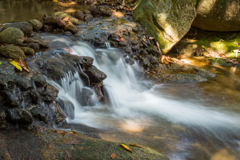 Серенное течение по камням в тропическом лесу
