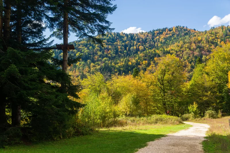 Путь в осеннем лесу на горах Адыгеи