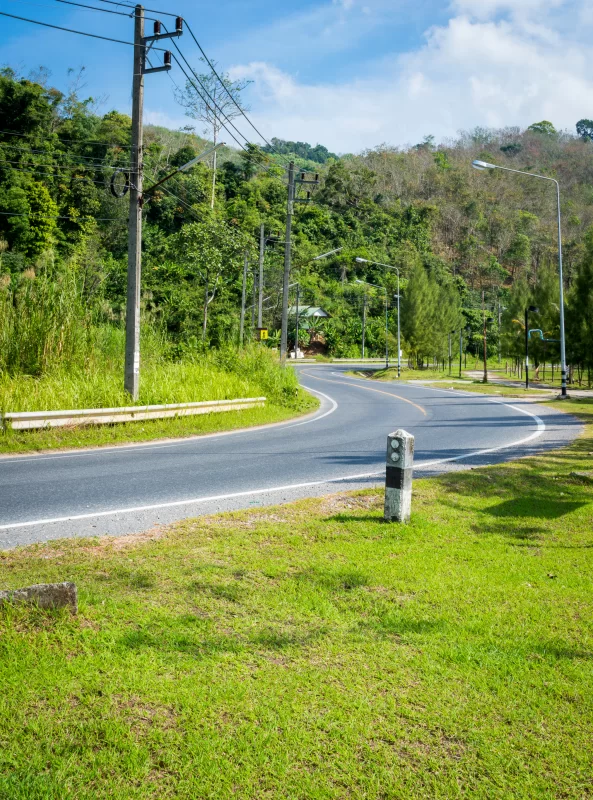 Завитая дорога через густой зеленый лес