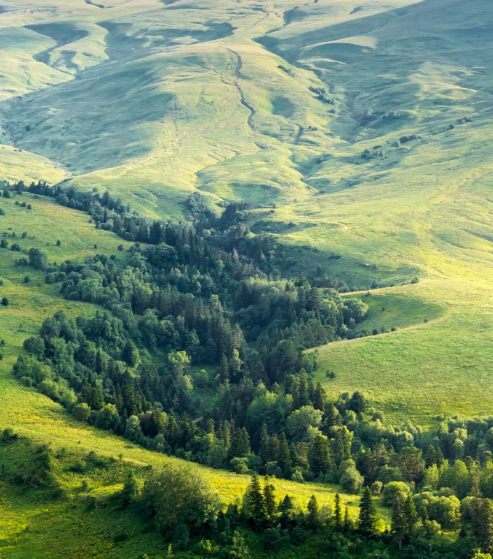 Green Valley at sunset