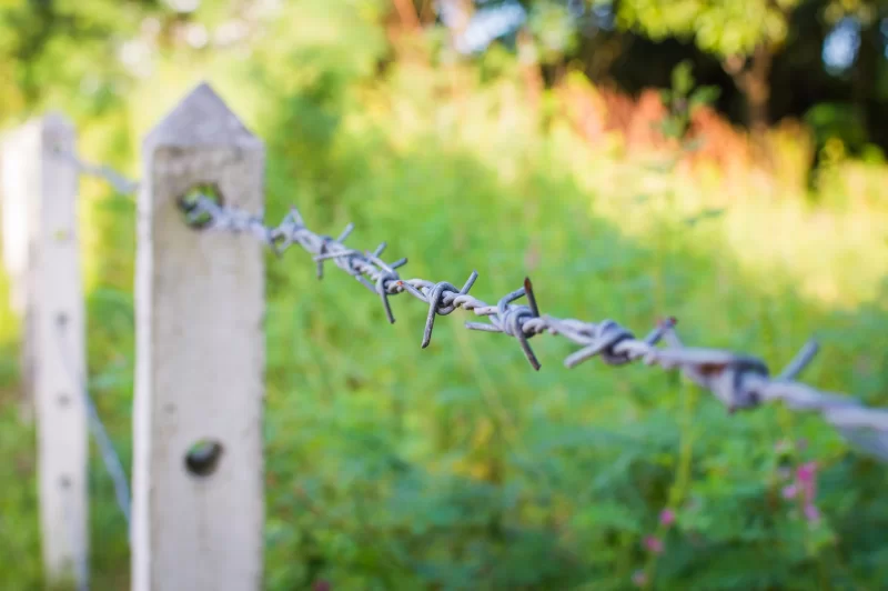 End of Fence: Barbed Wire Against Green Nature