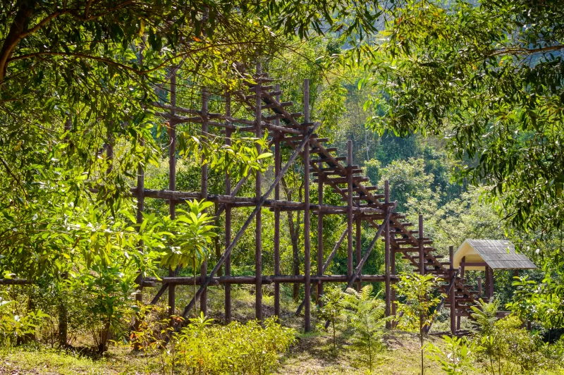 Деревянная конструкция конвейера в тропическом лесу