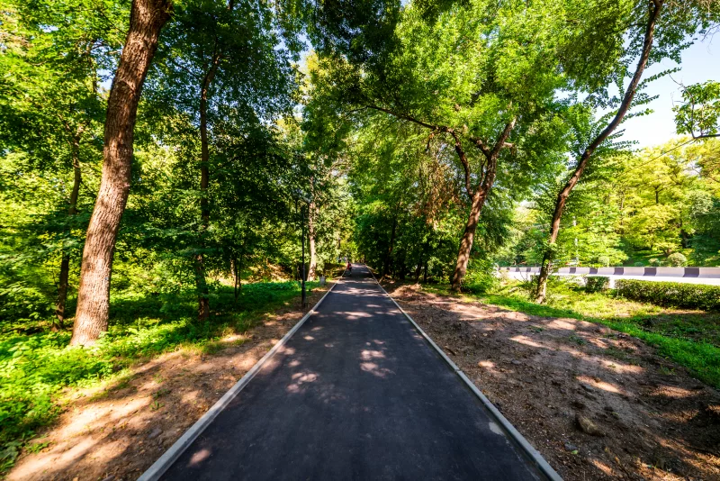 Асфальтовая прогулочная дорожка в городском парке