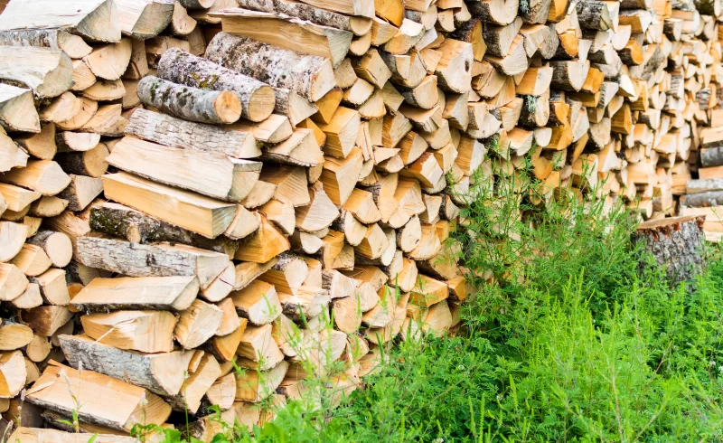 Firewood stacked for heating