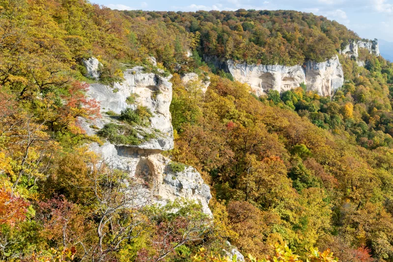 Autumn Forest Cliffs in Adygea