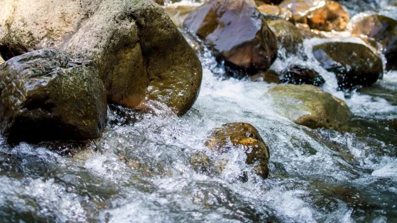 Река в горах, текущая по мокрым камням