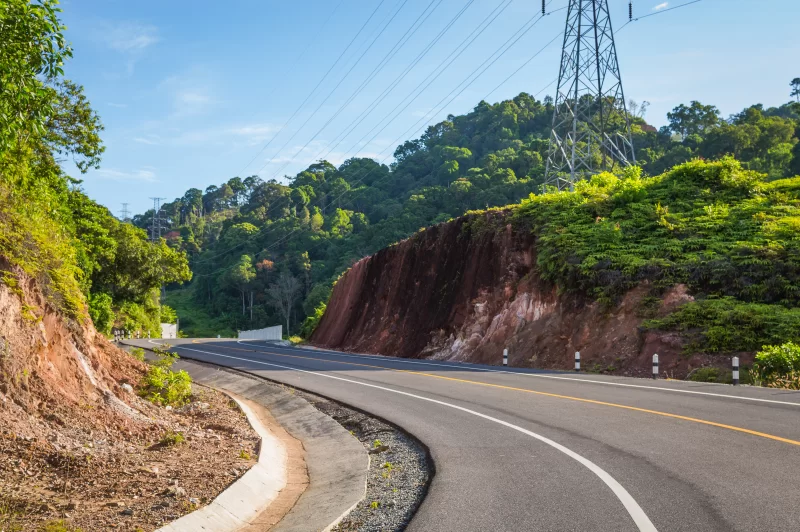Закругленная дорога через густой зеленый лес