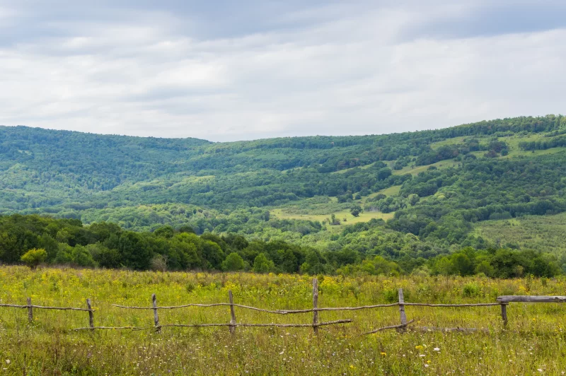 Летний пейзаж с деревянным забором и зелеными холмами