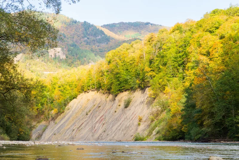 Осень в Адыгее: река и лес