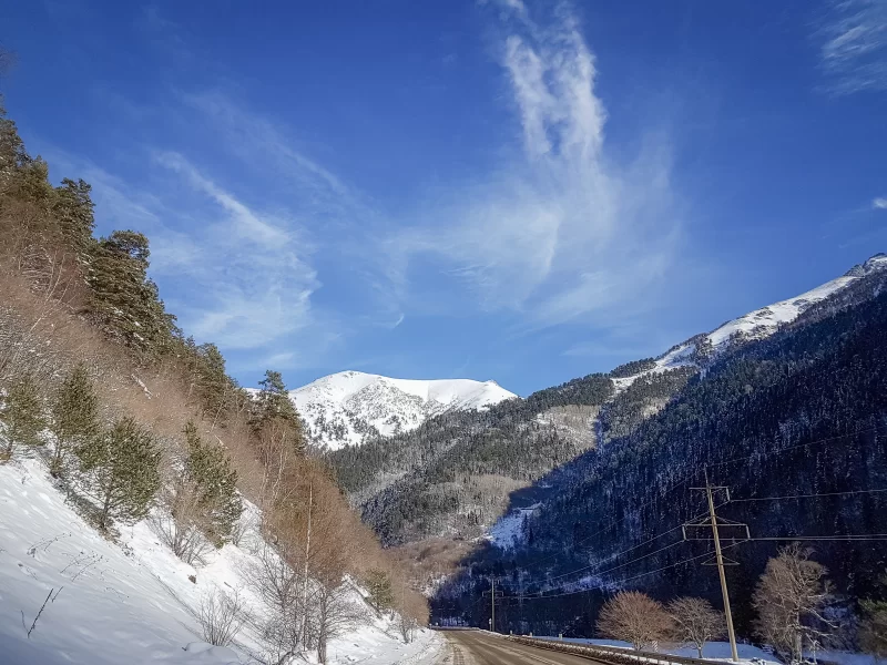 Winter mountain landscape with snow-covered s