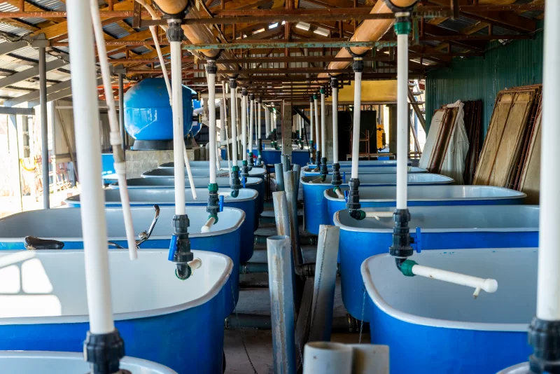 Промышленные аквакультурные бассейны