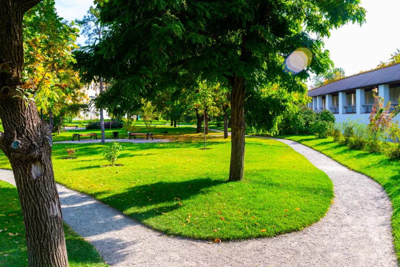 Газонная дорожка в саду