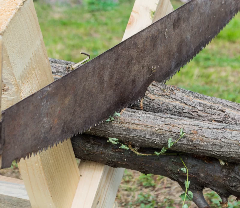 Ручная пила пилит деревянный ствол на верстаке