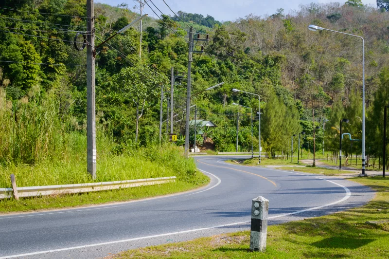 Поворотная дорога сквозь густой зелёный лес