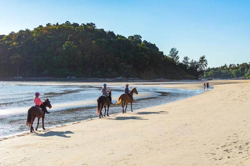 People Riding Horses on a Tropical Beach