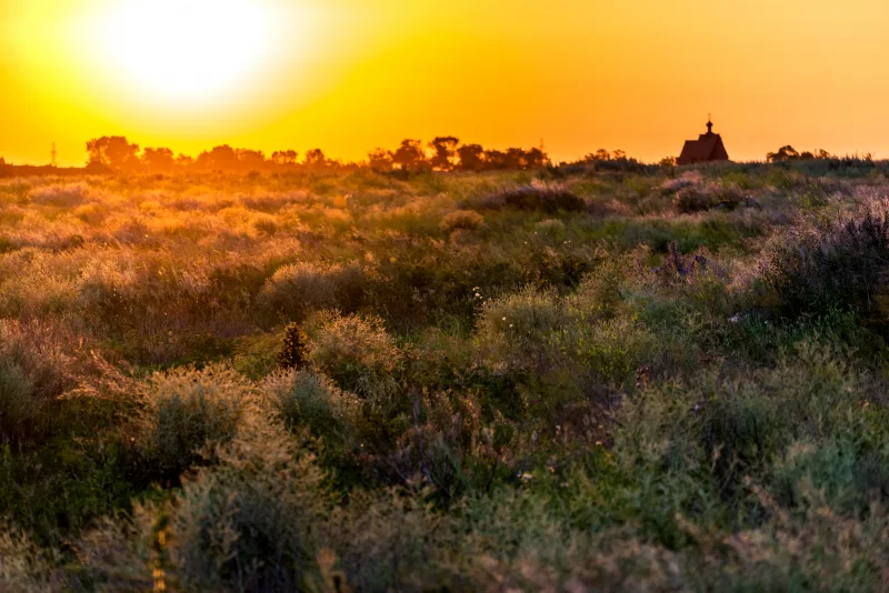 Sunset Over Wild Grasslands with Church Silhouette