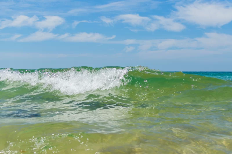 Tropical Sea Wave Close Up