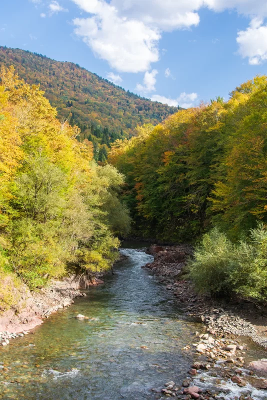 Река в осеннем лесу Адыгея