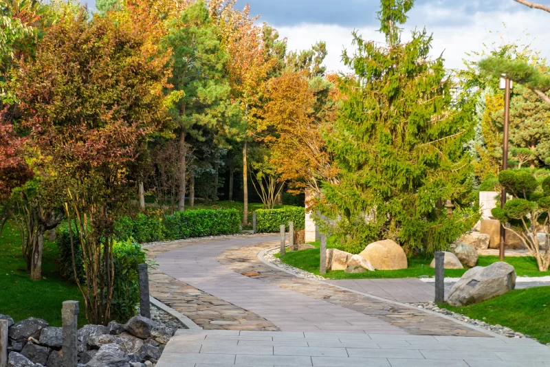 Сад в осеннем свете: изящный путь среди деревьев и камней