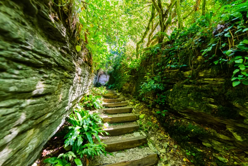 Лестница в зелёный рай: живописный путь