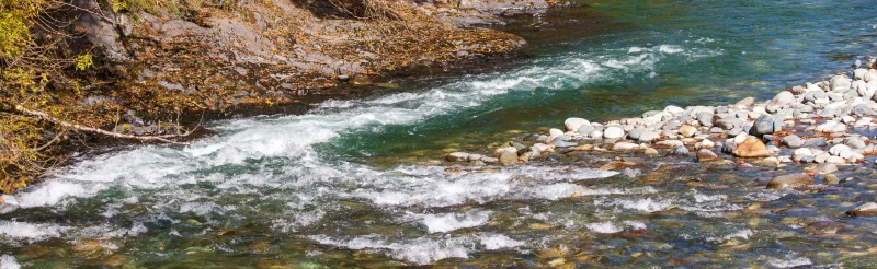 Река в осеннем лесу в Адыгее