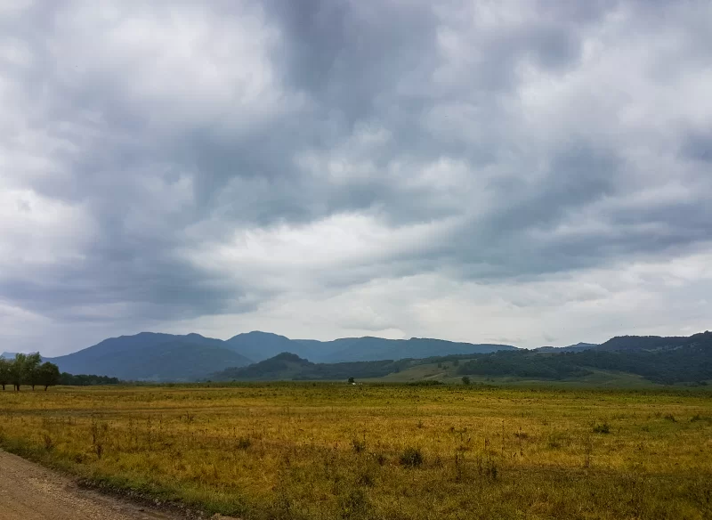 Dramatic summer landscape: mountains under storm clouds and golden field