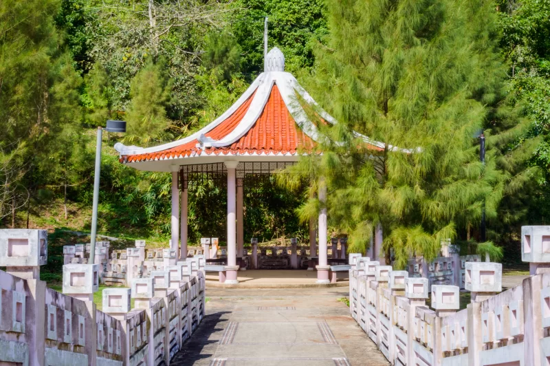 Традиционный азиатский павильон в тропическом саду