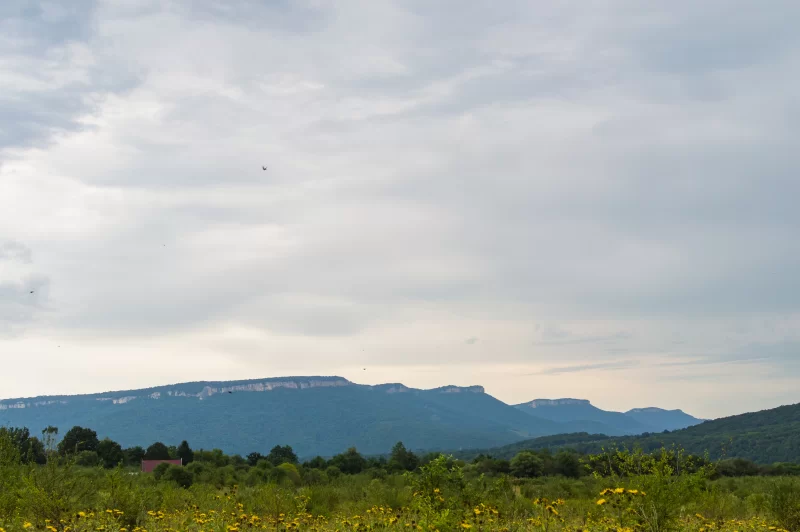 Горный пейзаж с облаками и цветами