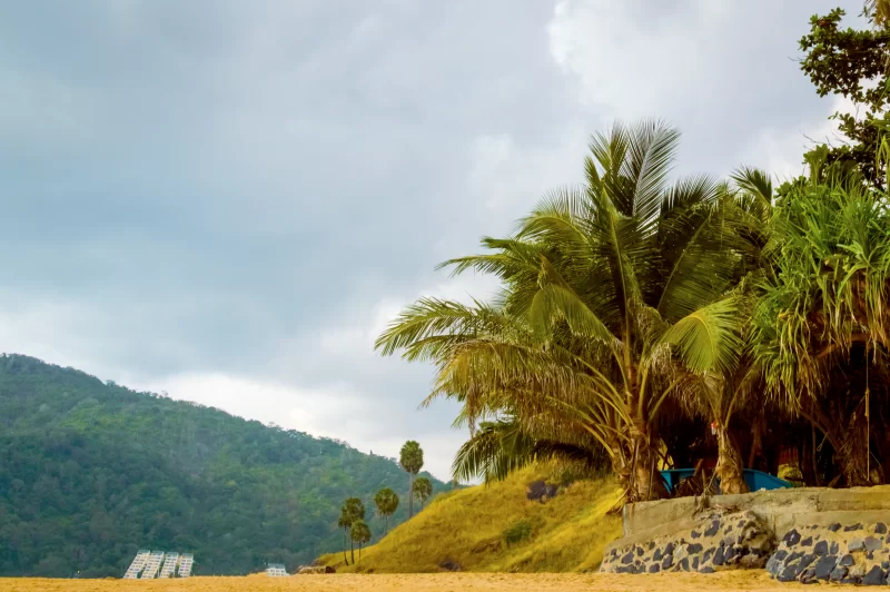 Тропический пляж с кокосовыми пальмами и горным видом