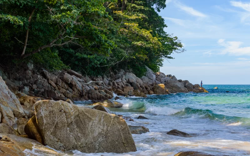 Coastal Scene with Lush Greenery and Rocky Shore