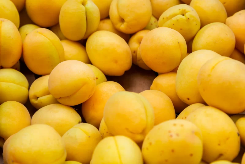 Аппетитные спелые абрикосы крупным планом