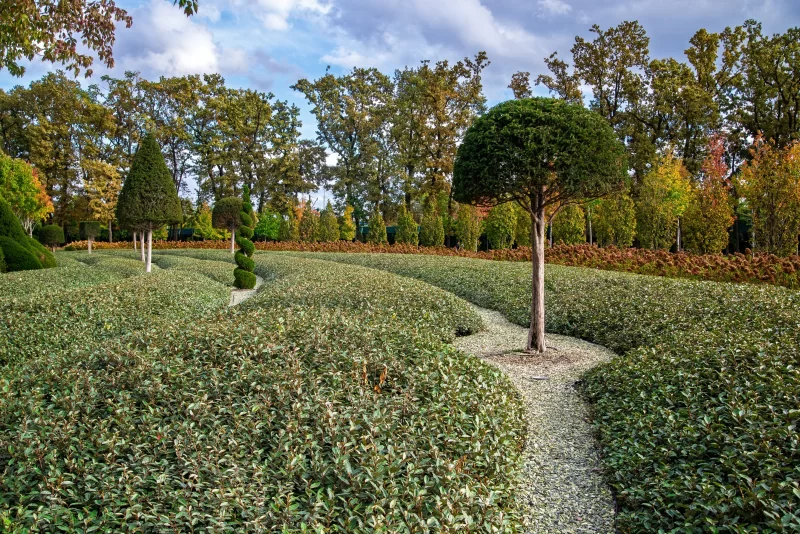 Осенний сад с топиариями в парке Галитский