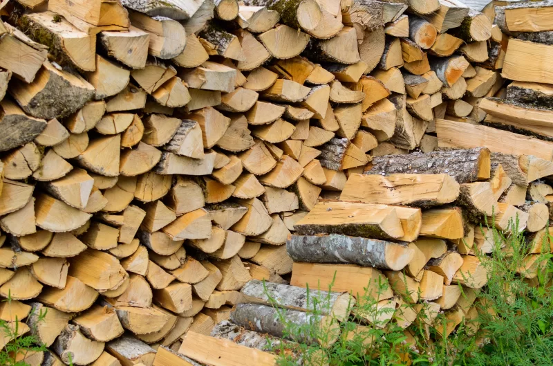 Дрова: Зимний запас тепла