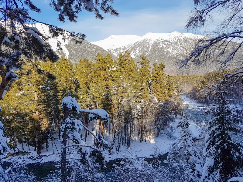 Winter landscape with mountains and forest