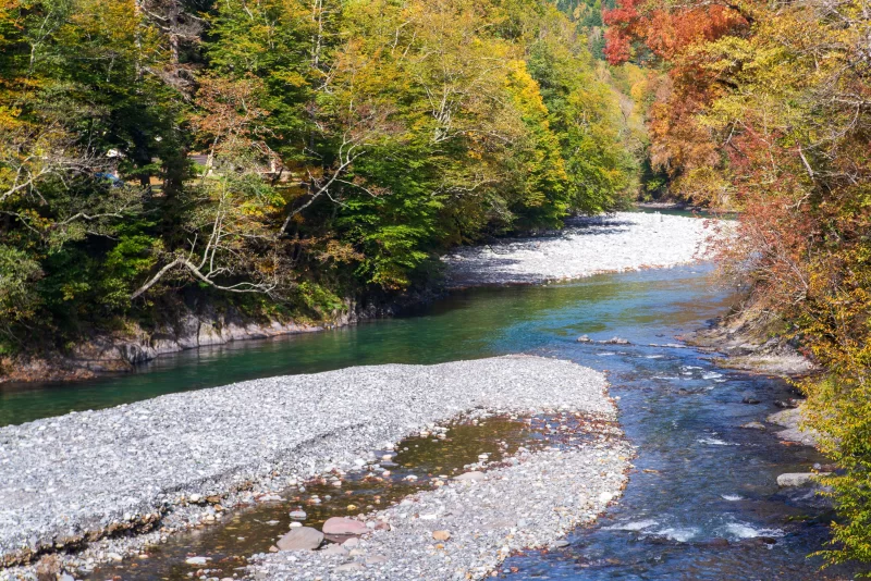 Река в осеннем лесу Адыгеи