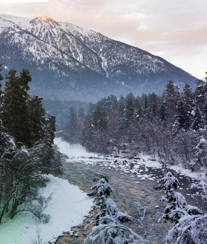 Зимний горный пейзаж: заснеженные вершины, хвойный лес и быстрая река
