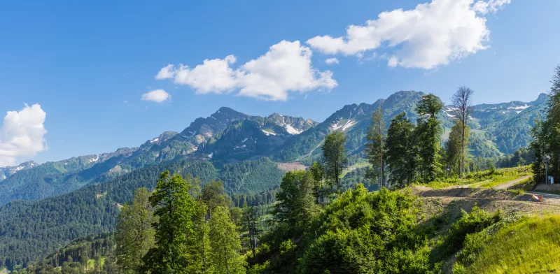 Панорамный вид на горы с зелеными лесами и снежными вершинами под ясным небом