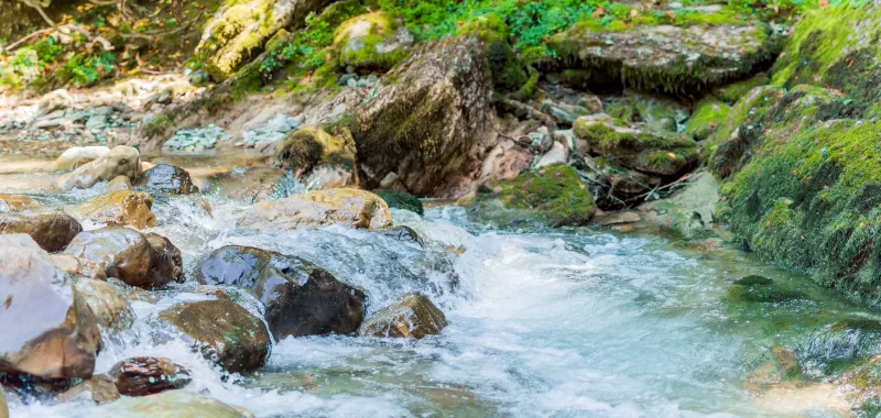 Горная река, текущая по мховым камням