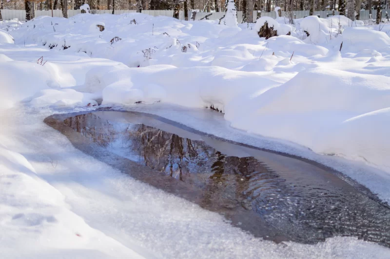 Пробуждение природы: таяние льда на реке в зимнем лесу